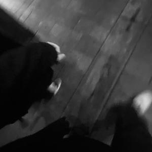 trample残忍践踏vk
